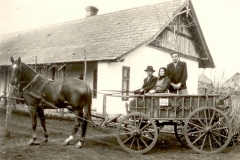 Kr_l_csal_d_T_th_mam_k